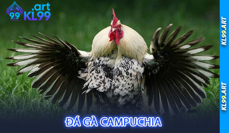 Đá gà Campuchia tại 9ki Đá gà Campuchia tại 9ki